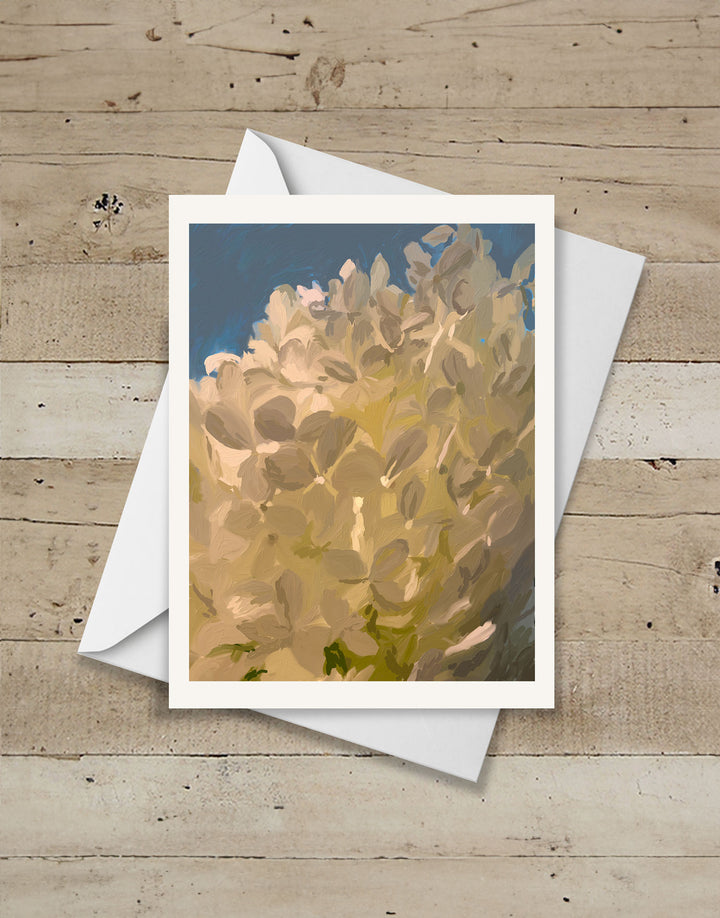 "Cloudflower" Card Set of 6 by Russell Brandwein