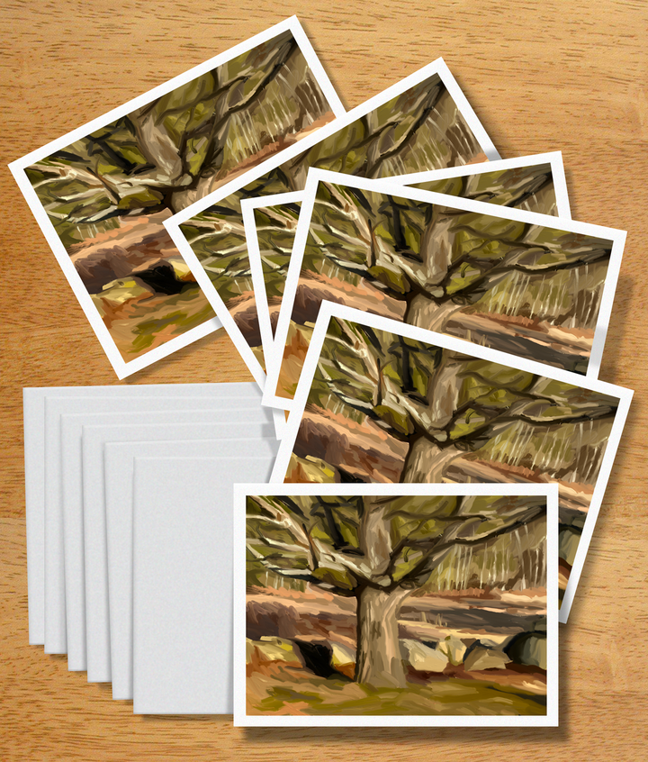 "Danny's Oak" Card Set of 6 by Russell Brandwein