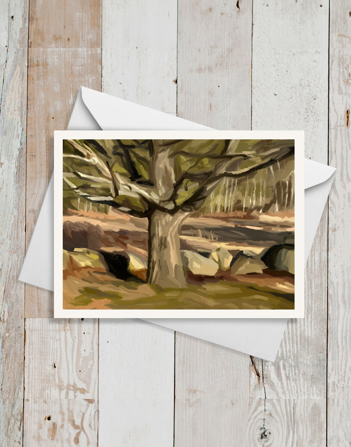 "Danny's Oak" Card Set of 6 by Russell Brandwein