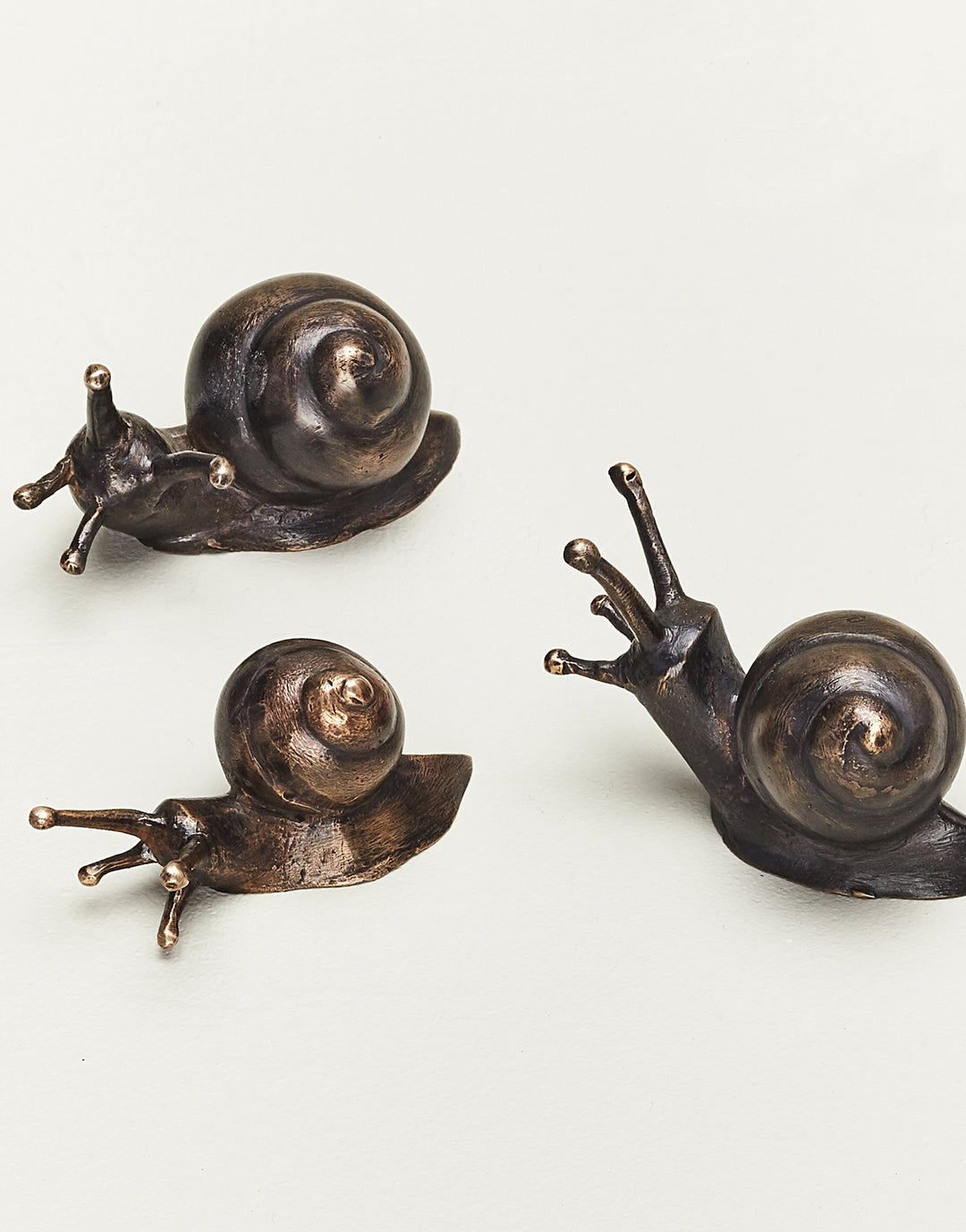 Bronze Snails