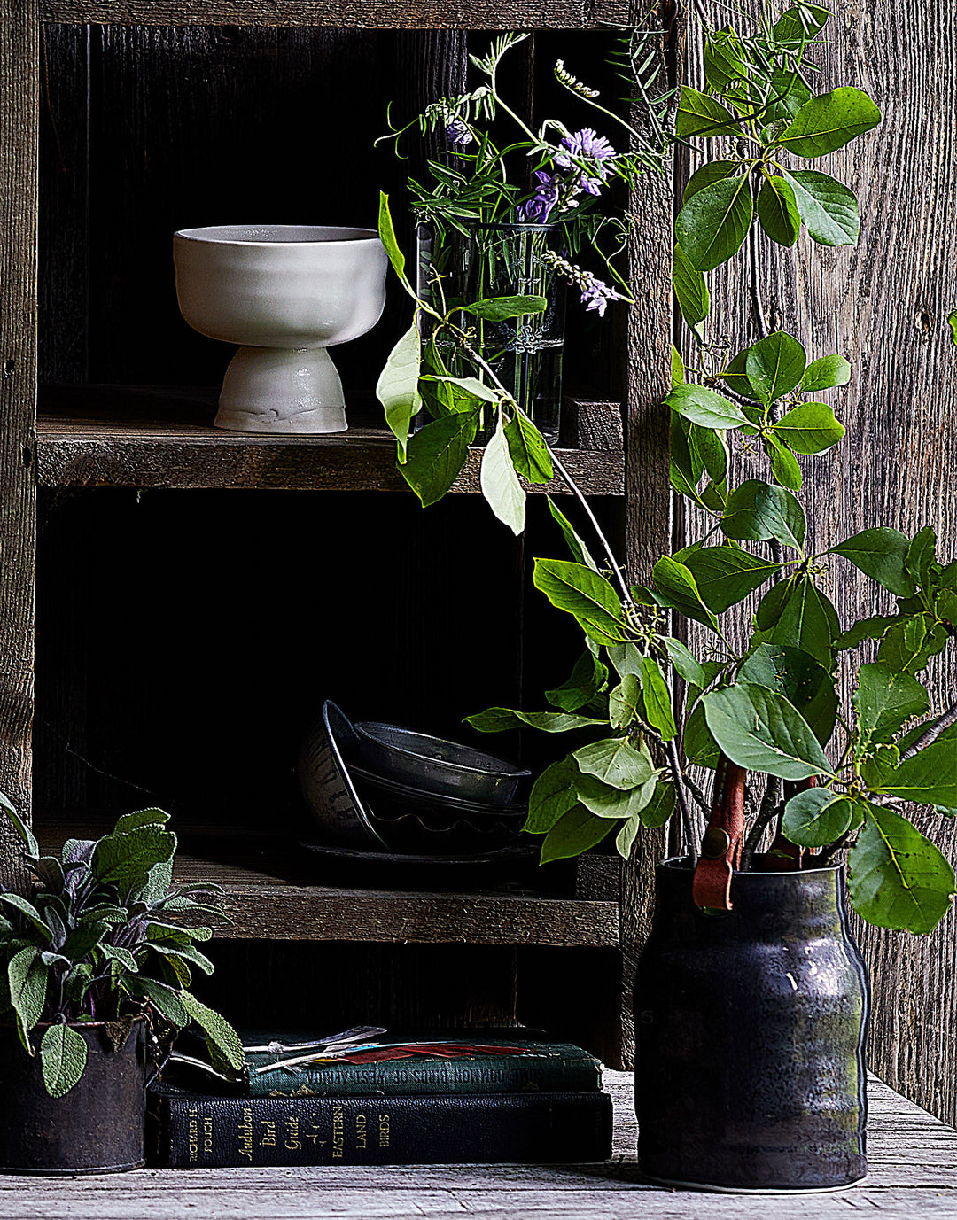 DBO HOME black ceramic utility vessel with handstitched leather handle on wooden table filled with plants in front of vintage cubbies with old books