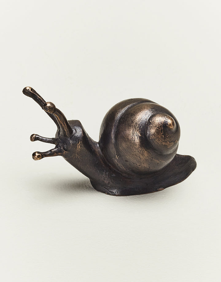 Bronze Snails