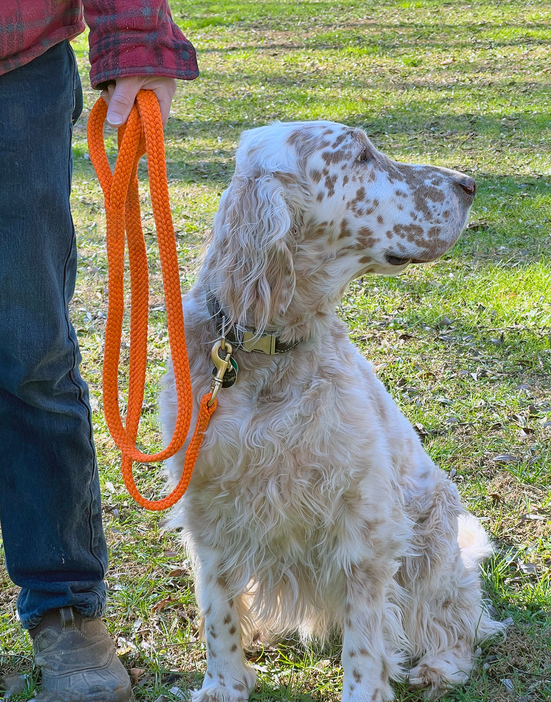 Town + Country Rope Dog Leash