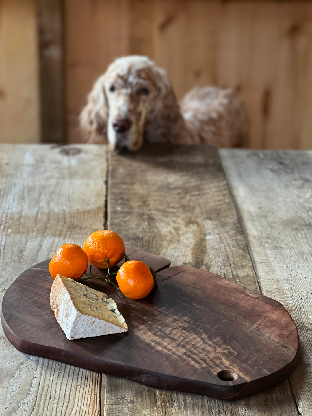 One Of Kind Walnut Serving Board #2